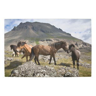 Impresión En Metal Manada De Caballos, Cerca De Hofn, Islandia