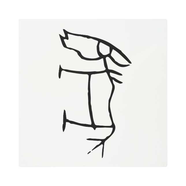 Impresión En Metal Maravilloso caballo-zodiaco chino-#001- (Anverso)