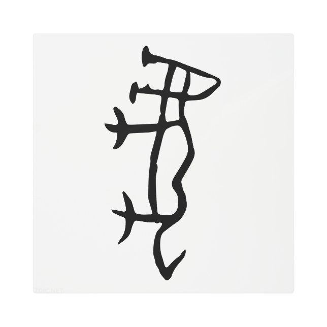 Impresión En Metal Maravilloso zodiaco-tigre chino-#001- (Anverso)