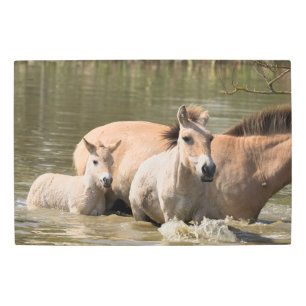 Impresión En Metal Mare con el pie que cruza un río