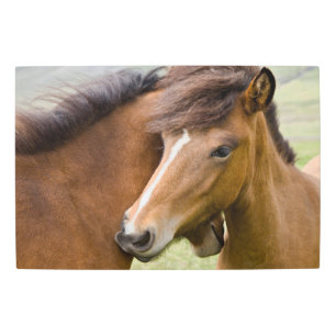Impresión En Metal Mare Y Colt