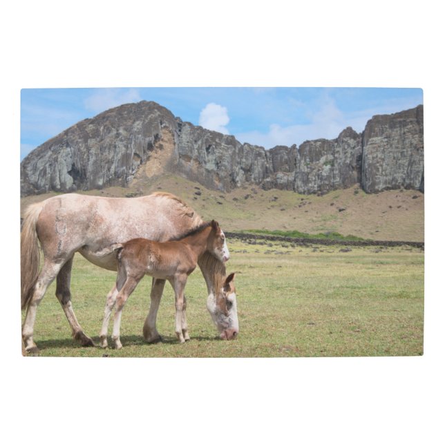 Impresión En Metal Mare y Colt en el cráter volcánico de Rano Raraku (Anverso)