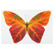 Mariposa 2 de la hoja de Aspen