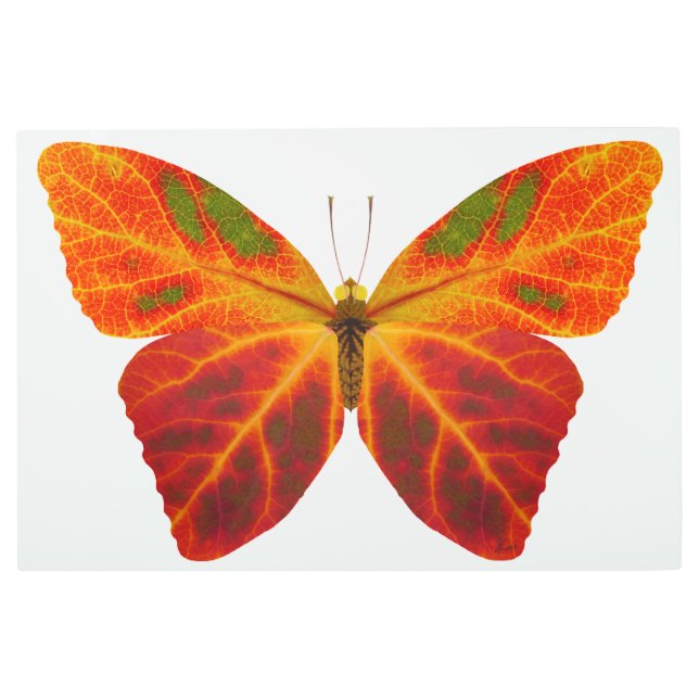 Impresión En Metal Mariposa 2 de la hoja de Aspen (Anverso)