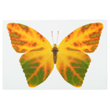 Mariposa Aspen Leaf 1