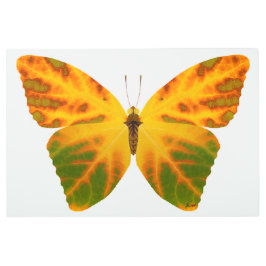 Impresión En Metal Mariposa Aspen Leaf 1