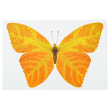Mariposa Aspen Leaf 3