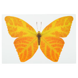 Impresión En Metal Mariposa Aspen Leaf 3