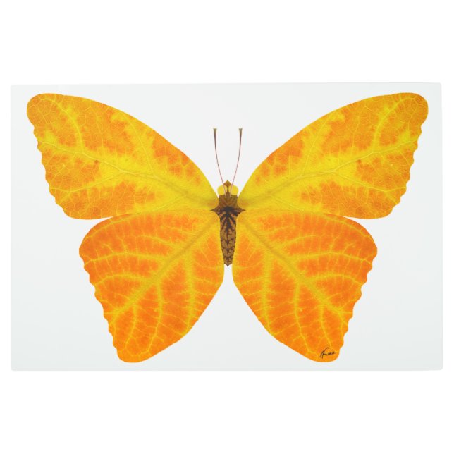 Impresión En Metal Mariposa Aspen Leaf 3 (Anverso)