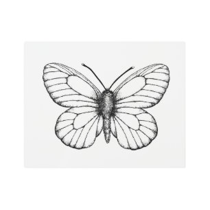 Impresión En Metal Mariposa blanca