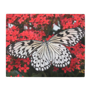 Impresión En Metal Mariposa en las flores rojas
