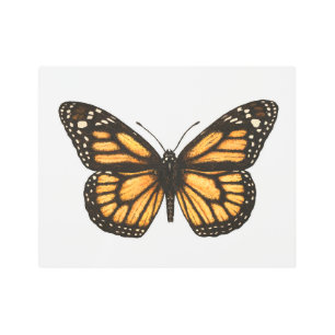 Impresión En Metal Mariposa monarca