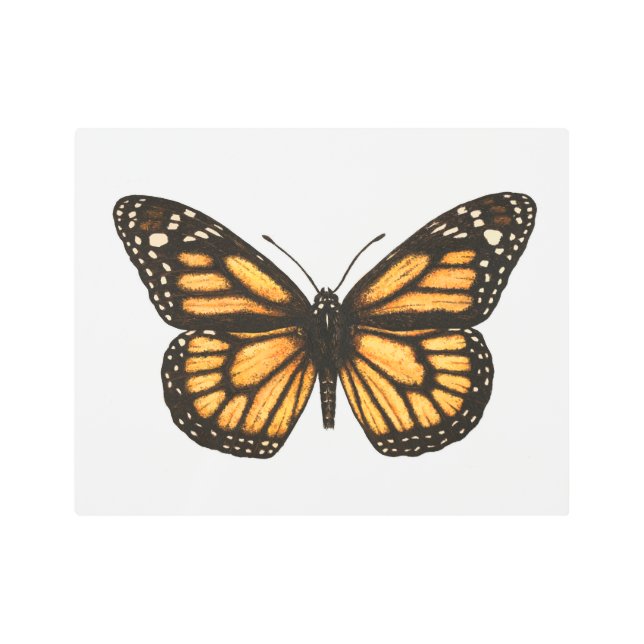 Impresión En Metal Mariposa monarca (Anverso)