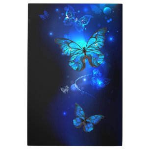 Impresión En Metal Mariposa morfo en el fondo oscuro