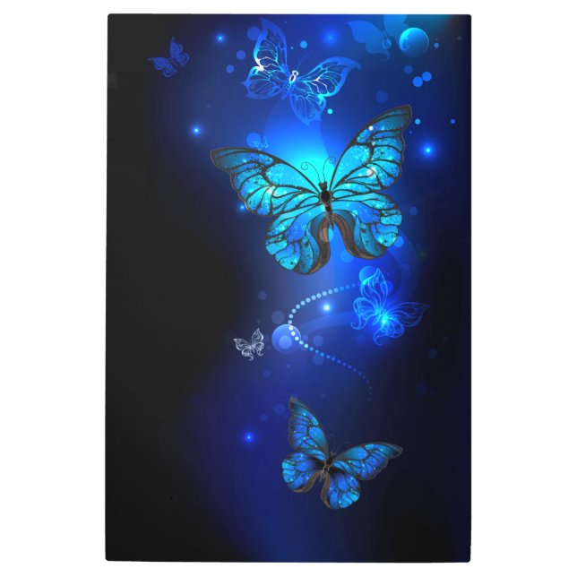 Impresión En Metal Mariposa morfo en el fondo oscuro (Anverso)