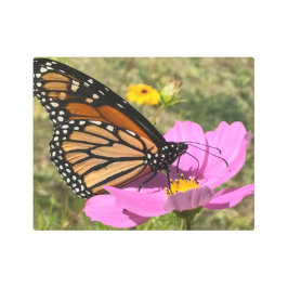 Impresión En Metal Mariposa Selden 2925