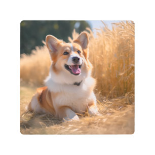 Impresión En Metal Mascota personalizado Foto