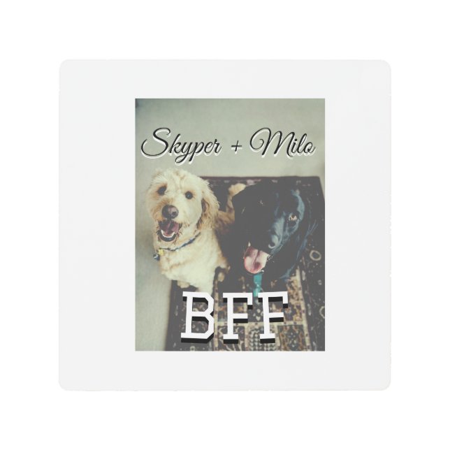 Impresión En Metal Mascotas amigos bestias agregar nombre mascota fot (Anverso)