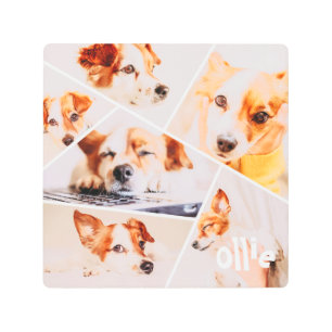 Impresión En Metal Mascotas Personalizado simple moderno 6 imágenes C