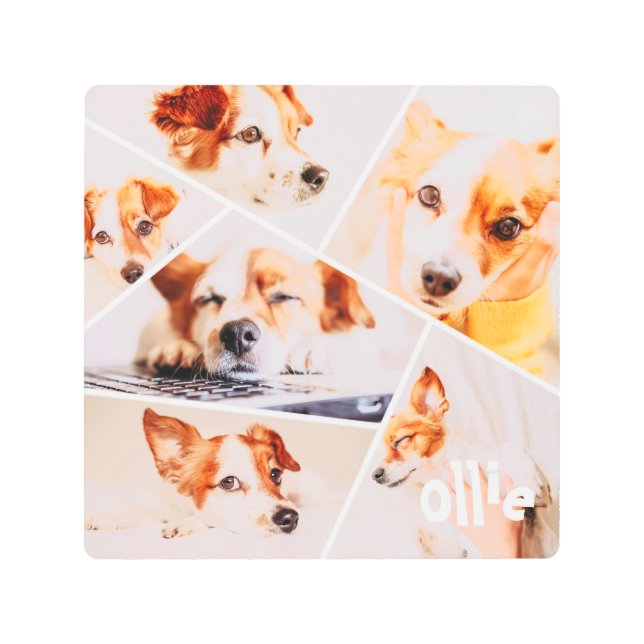 Impresión En Metal Mascotas Personalizado simple moderno 6 imágenes C (Anverso)