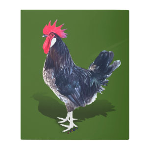 Impresión En Metal Menorca Rooster