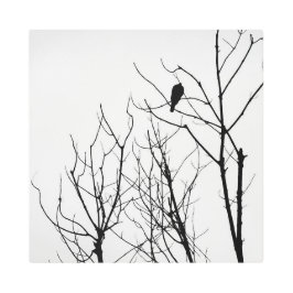 Impresión En Metal Metal Art Black & WHite