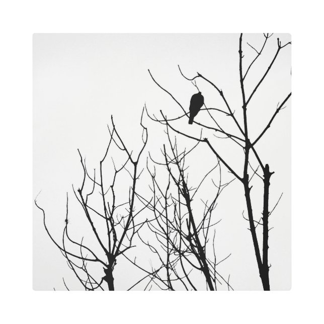 Impresión En Metal Metal Art Black & WHite (Anverso)