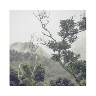 Impresión En Metal Metal Art Black & White II