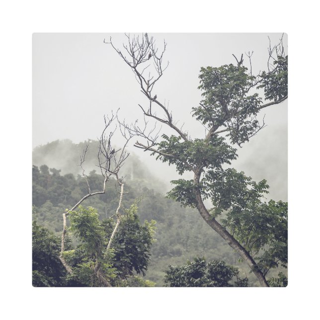 Impresión En Metal Metal Art Black & White II (Anverso)