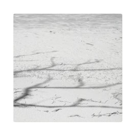 Impresión En Metal Metal Art Black & White II