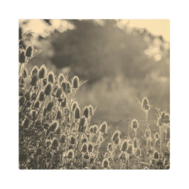 Impresión En Metal Metal Art sepia II