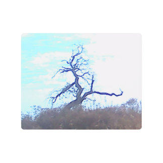 Impresión En Metal Metal Wall Art