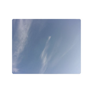 Impresión En Metal Metal Wall Art