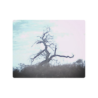 Impresión En Metal Metal Wall Art