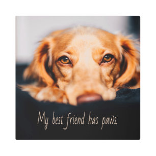 Impresión En Metal Mi mejor amigo tiene perro de garras, Meme de pipa