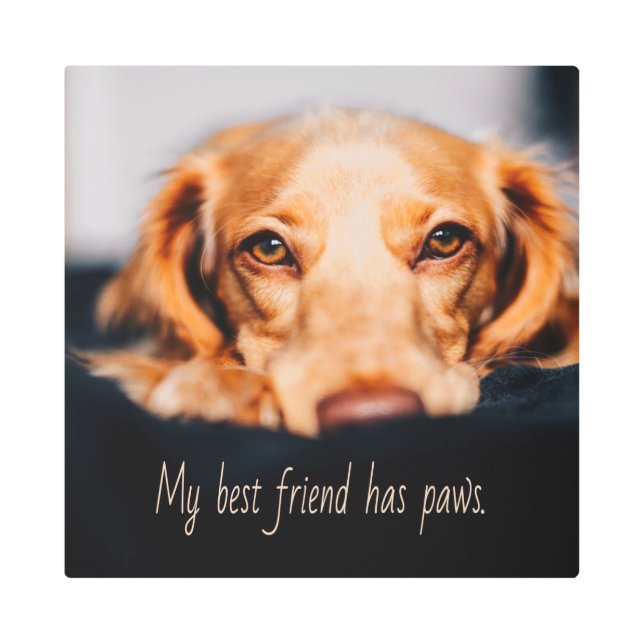 Impresión En Metal Mi mejor amigo tiene perro de garras, Meme de pipa (Anverso)