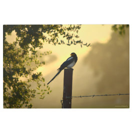 Impresión En Metal Mina en una cerca