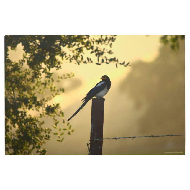 Impresión En Metal Mina en una cerca (Anverso)