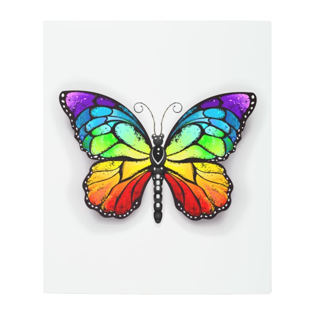 Impresión En Metal Monarca de mariposa arcoiris (Anverso)