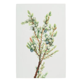 Impresión En Metal Montañas Botánicas Sencillas