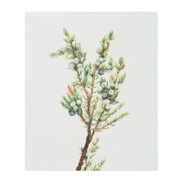 Impresión En Metal Montañas Botánicas Sencillas