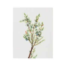 Impresión En Metal Montañas Botánicas Sencillas