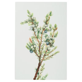 Impresión En Metal Montañas Botánicas Sencillas