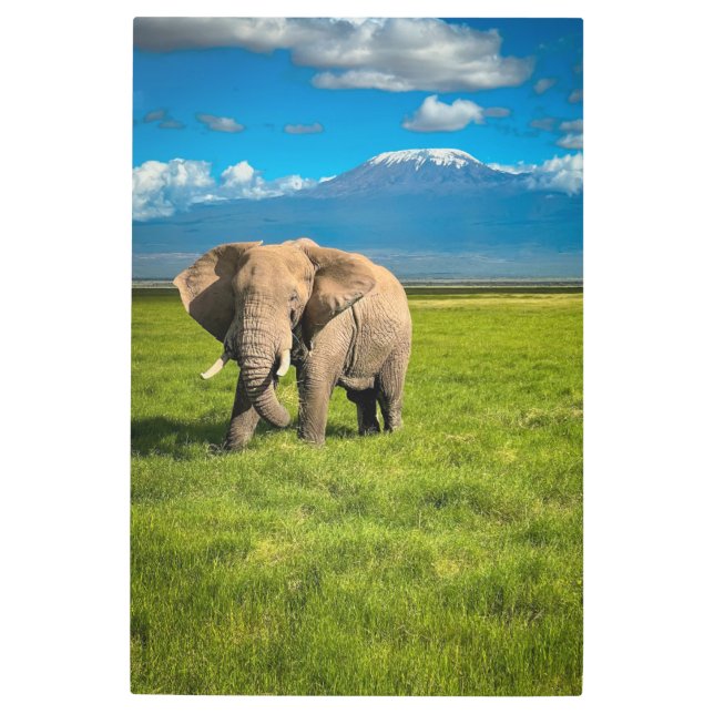 Impresión En Metal Montañas | Monte Kilimanjaro Tanzania, África (Anverso)