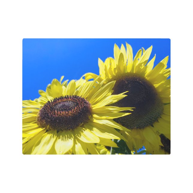 Impresión En Metal Moonwalker Sunflowers llegando al cielo (Anverso)