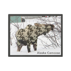 Impresión En Metal Moose de camuflaje (ganso)