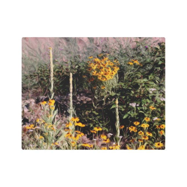 Impresión En Metal Mulleins Black Eyed Susan Flowers (Anverso)