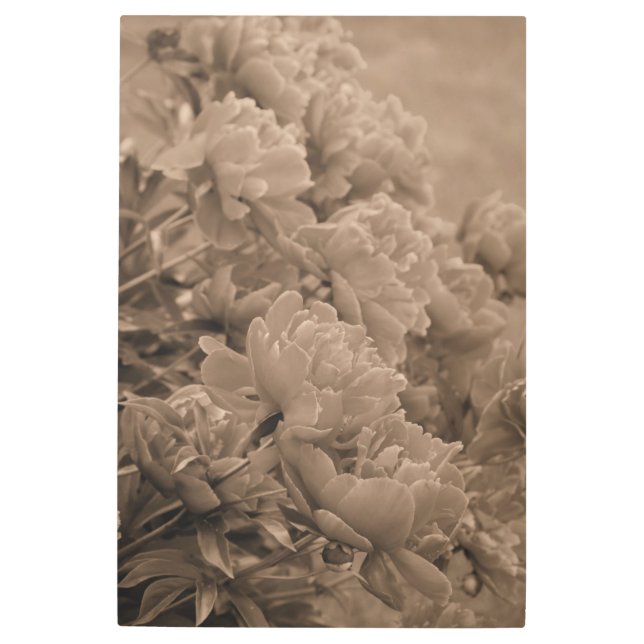 Impresión En Metal Múltiples pueblos en Sepia (Anverso)