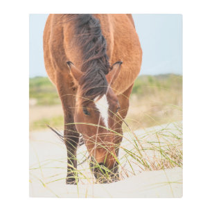 Impresión En Metal Mustangs salvajes o caballos banqueros