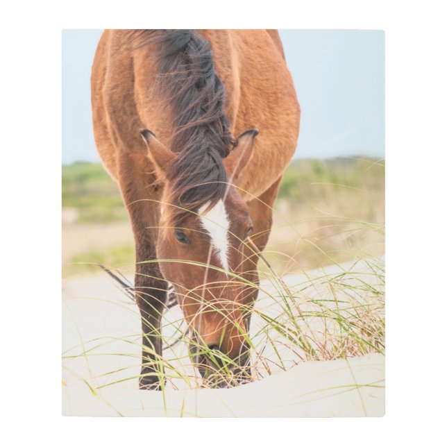 Impresión En Metal Mustangs salvajes o caballos banqueros (Anverso)